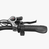 best dual battery ebikes